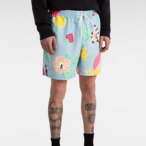 Vans Primary Print Elastic Boardshorts Blue Men's Size M - Picture 3 of 9